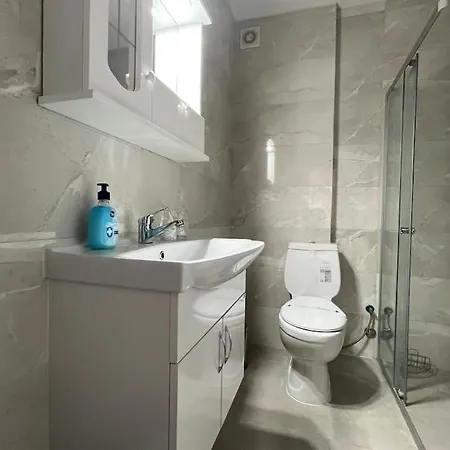 Apartment Cozy In With Free Parking